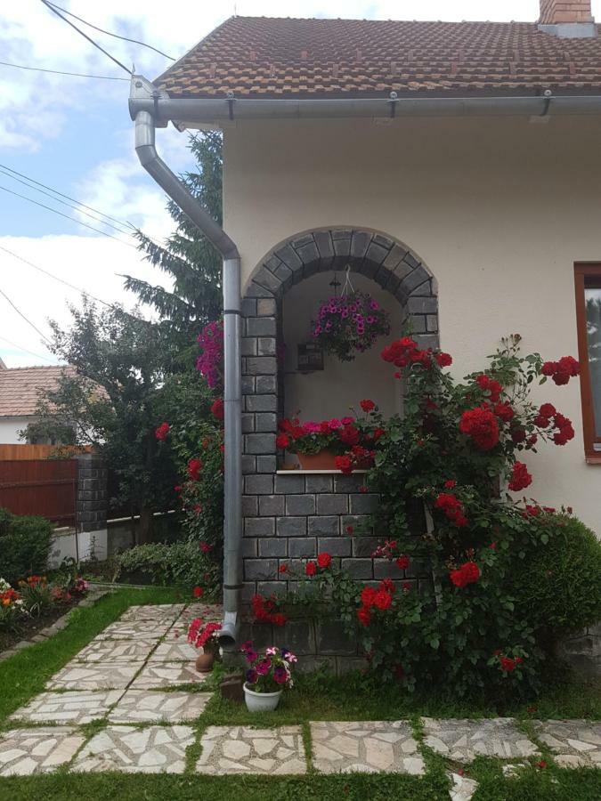 Rita Vendégház Ciumani Exterior foto